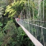 Taman Negara